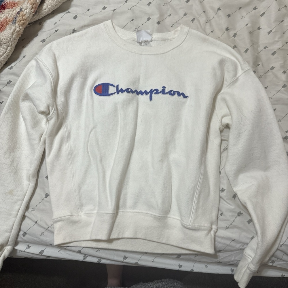 Champion sweatshirt